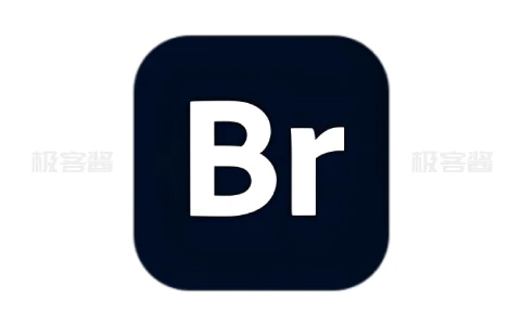 Adobe Bridge 2025 v15.0.1.412 | 专业图像管理与数字资产处理工具-极客酱