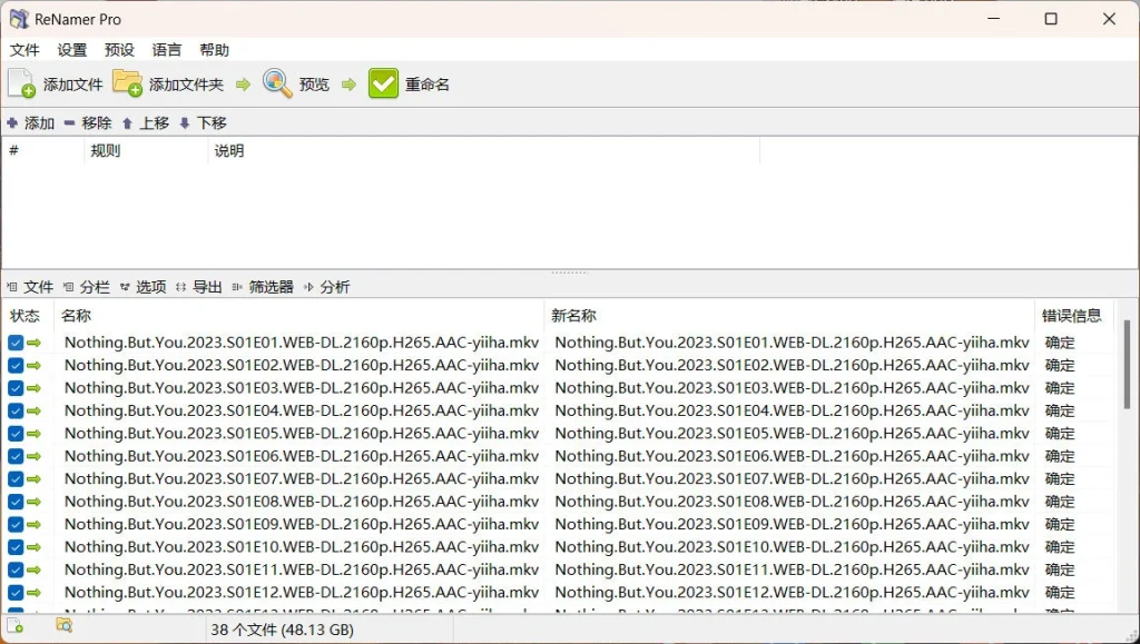 图片[1]-ReNamer Pro v7.6.0.4 | 文件批量重命名神器，高效管理工具-极客酱